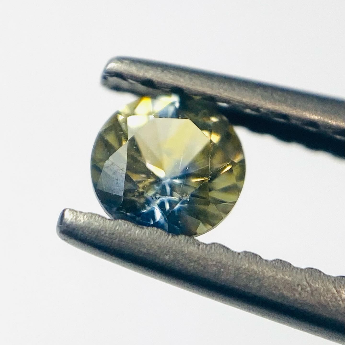 パンジーに青空 サファイア