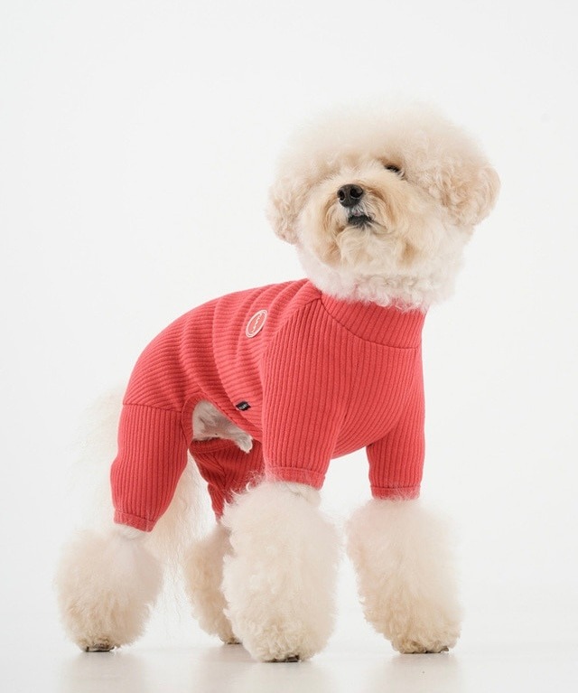 活発で元気な我が子へ (RED)