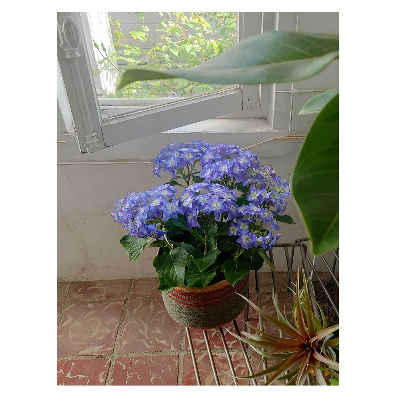 2238ac90f059c8c76e0a2f519b0395