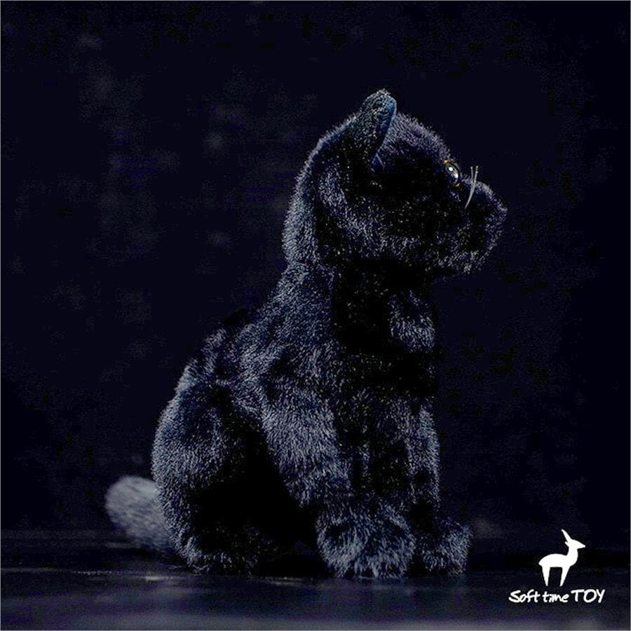 ☆黒猫☆ ぬいぐるみ・ | ぬいぐるみ専門店 くろにゃん