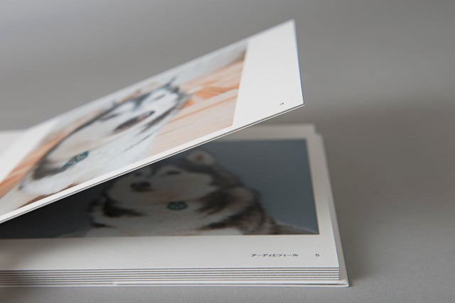 noeul フォトブック Amazon.co.jp: Boss Noeul ボス ノウル 写真集 60P 画集 恋の予感 The