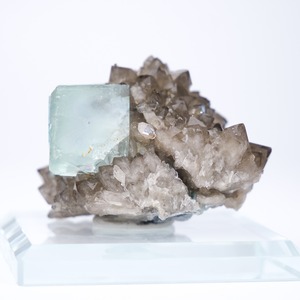 シャンファーリン産 フローライト スモーキークォーツ 共生 / 原石 標本【C_1】
