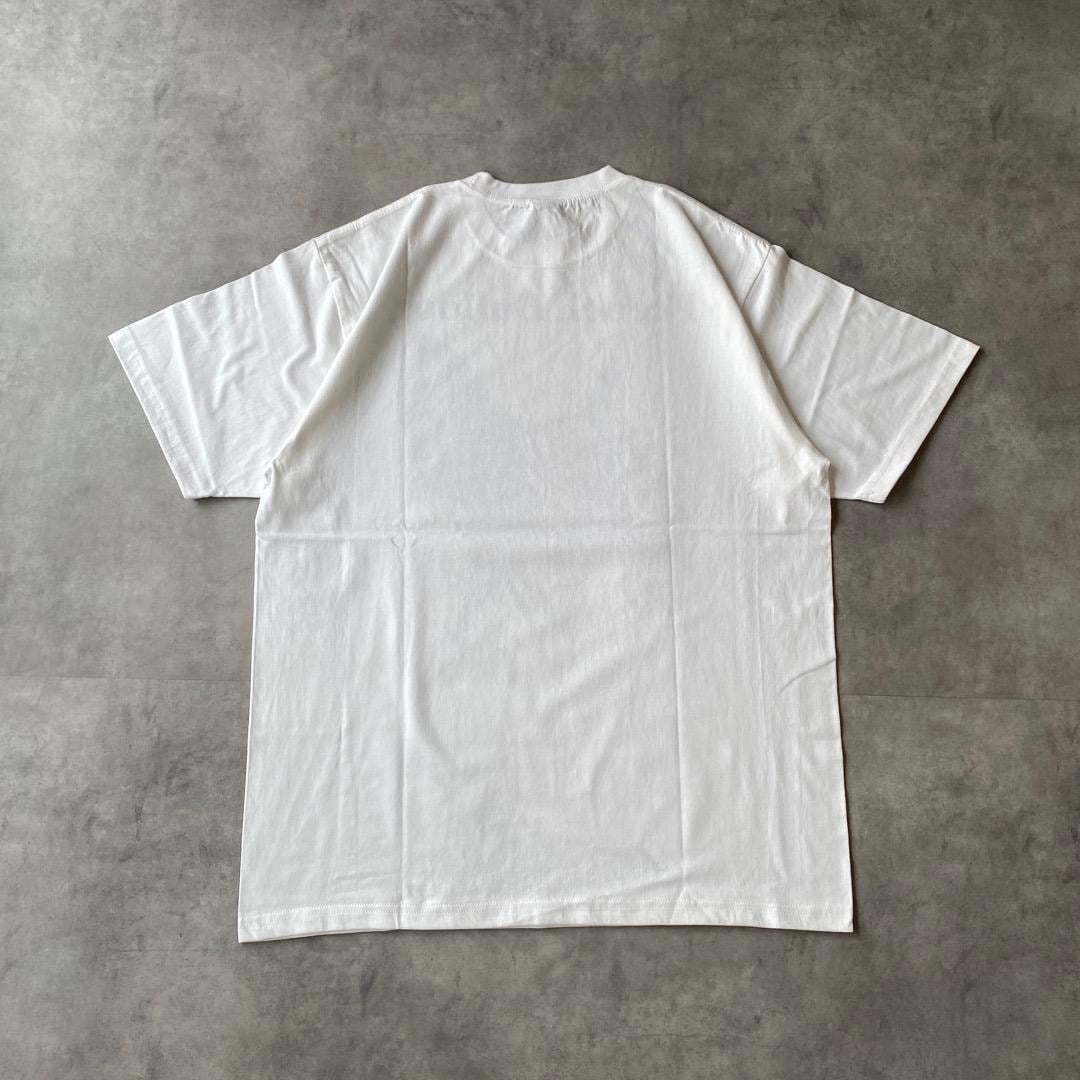 アニマルTシャツ エロT 四十八手 Tシャツ カエル 蛙 XL 白 15666 | fuufu