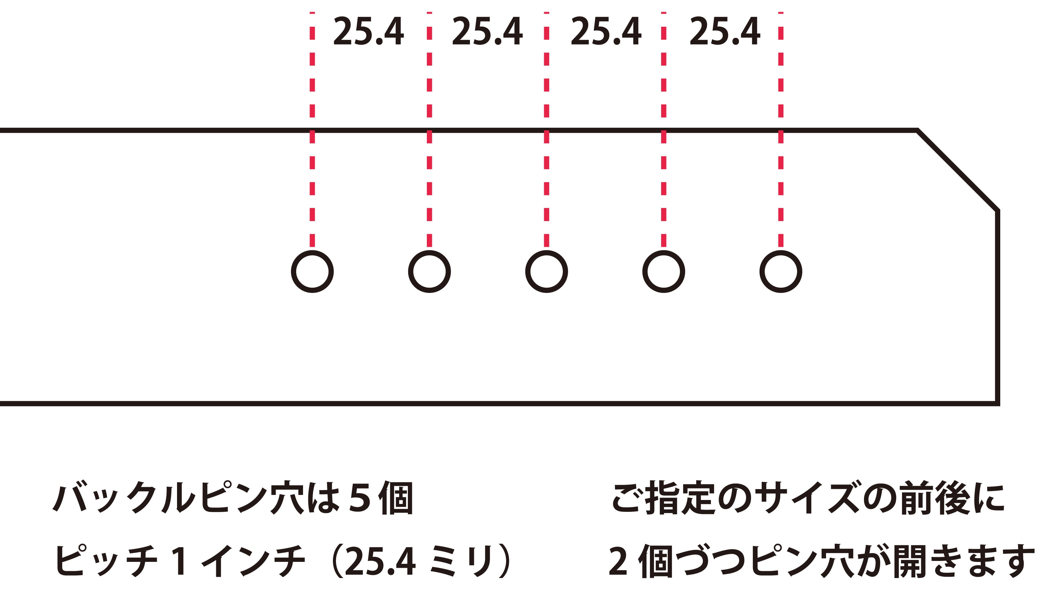 スタッズベルト 《アサジエ》 | 荒馬スタッズ工業