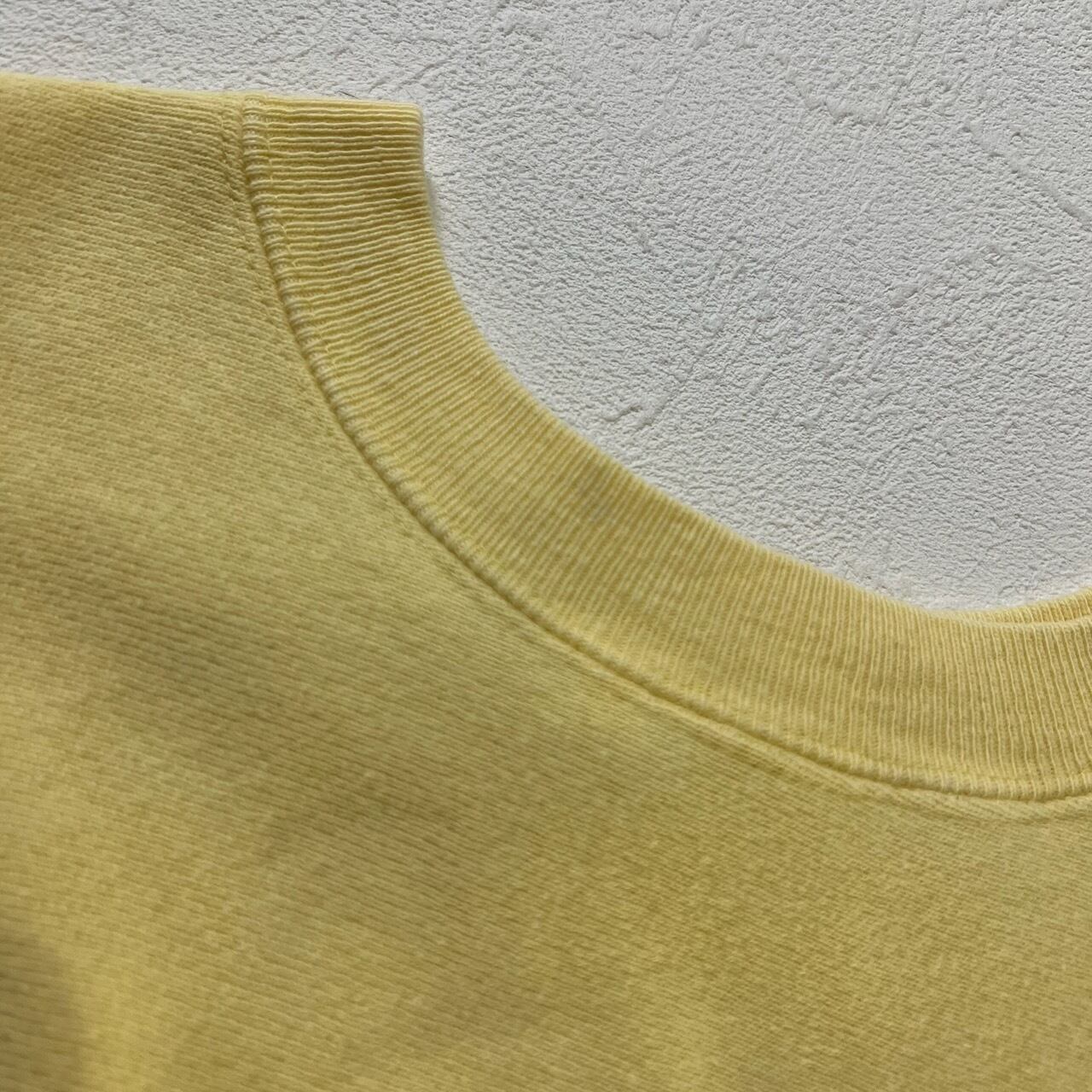 90s USA champion REVERSE WEAVE 目無し 雰囲気系 無地 スウェット