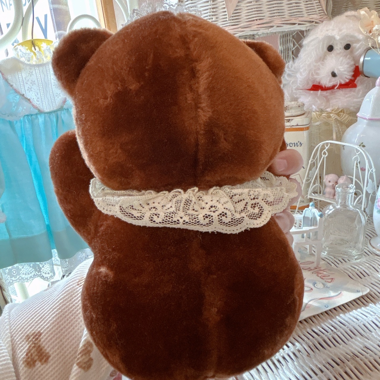 brown bearの画像05