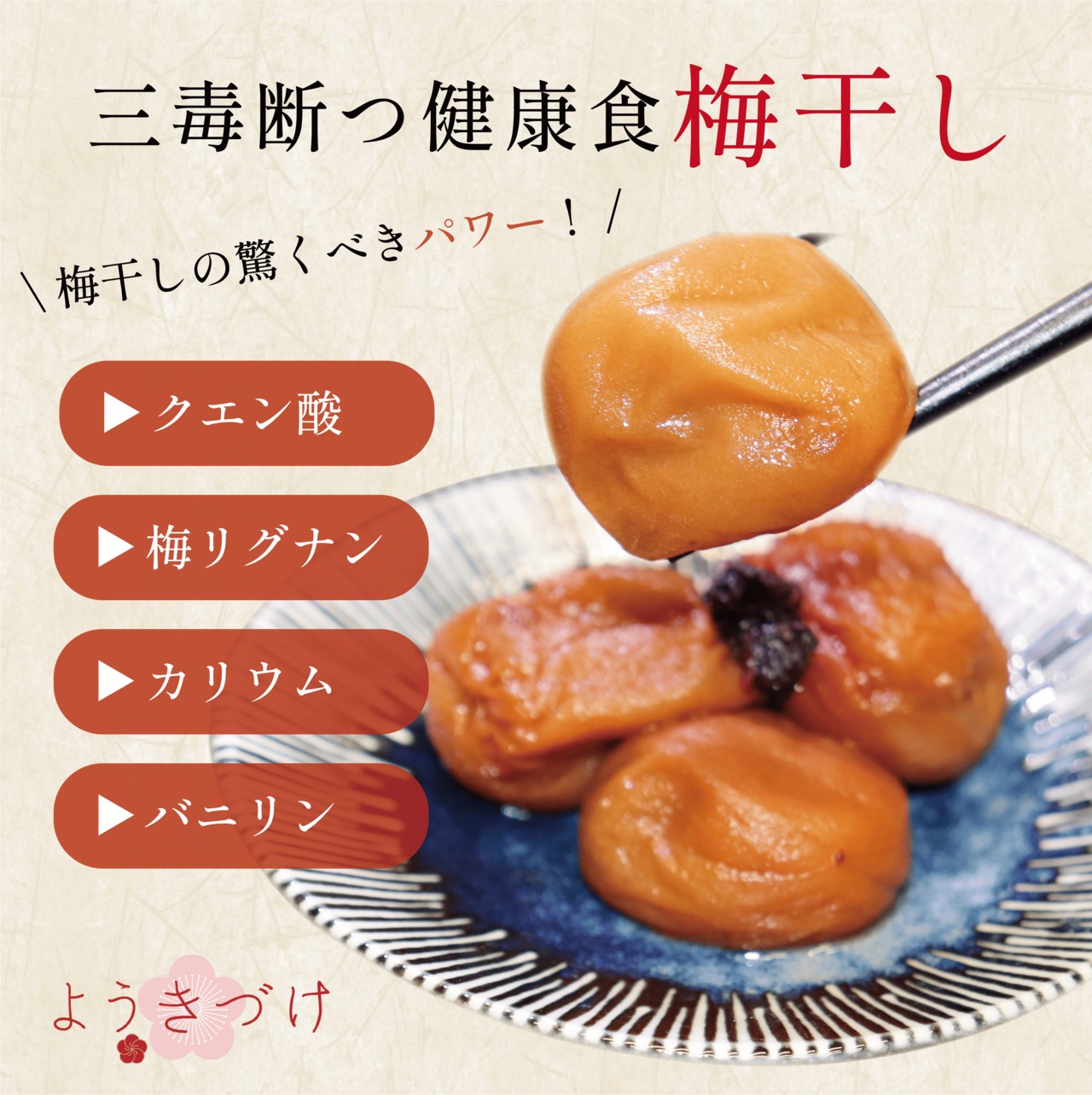 ようきづけ 300g