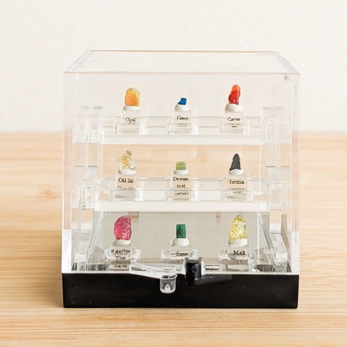 ミニチュア標本ひな壇ケース