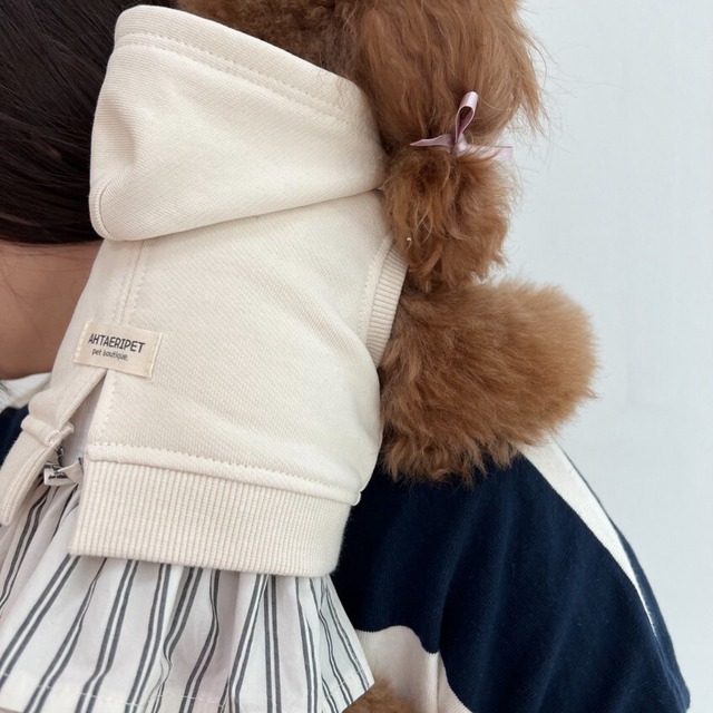 【予約】[ahtaeripet] Cotton Hoodie mtm (Cream beige)