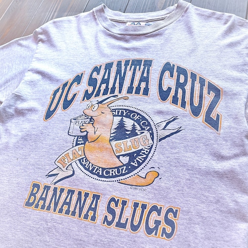 90s  UC SANTA CRUZ  BANANA SLUGS  print T-Shirt 〈Body〉Athletic apparel