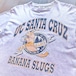 90s  UC SANTA CRUZ  BANANA SLUGS  print T-Shirt 〈Body〉Athletic apparel