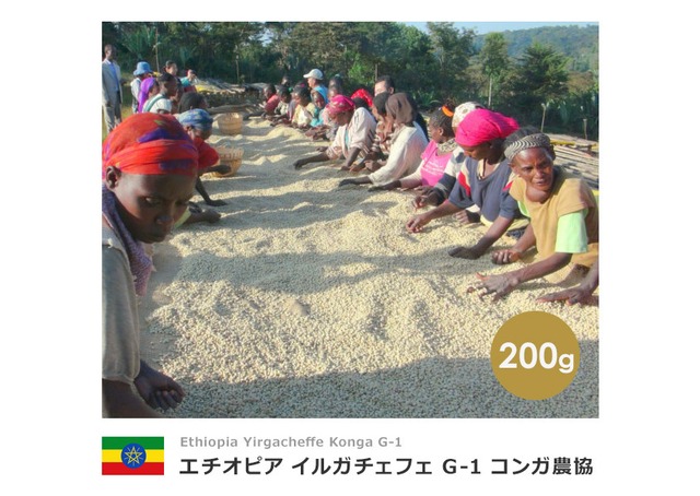 【200g】エチオピア イルガチェフェ G-1 コンガ農協