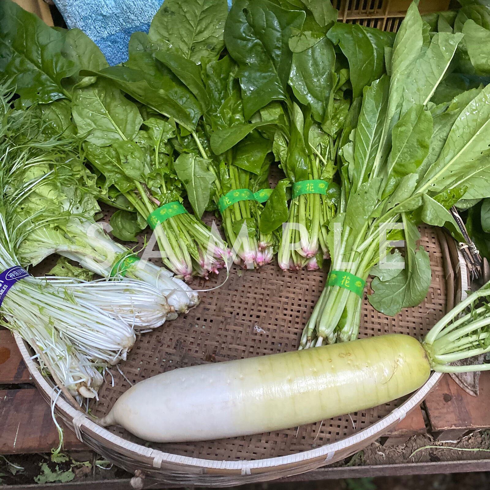 野菜 10kg 採りたて野菜盛り合わせ10kg | でぶっちょおやじの田舎野農園｜野菜販売
