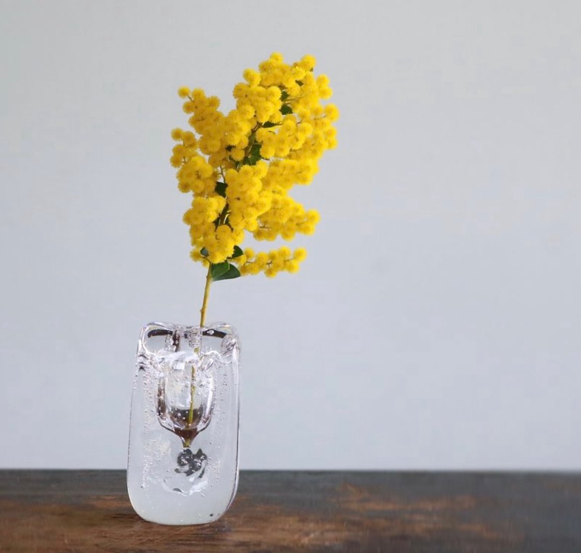 花器 : 魔法の薬瓶 | Shop kumomi
