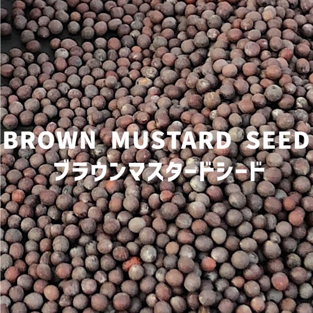 【100g】ブラウンマスタードシード BROWN MUSTARD SEED Brown Mustard Seed 【シードタイプ 】【スパイス 香辛料 調味料 薬膳 料理 味付け 乾燥 ドライ】【nature ナチュール】