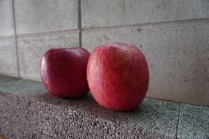 青森県産　減農薬りんご