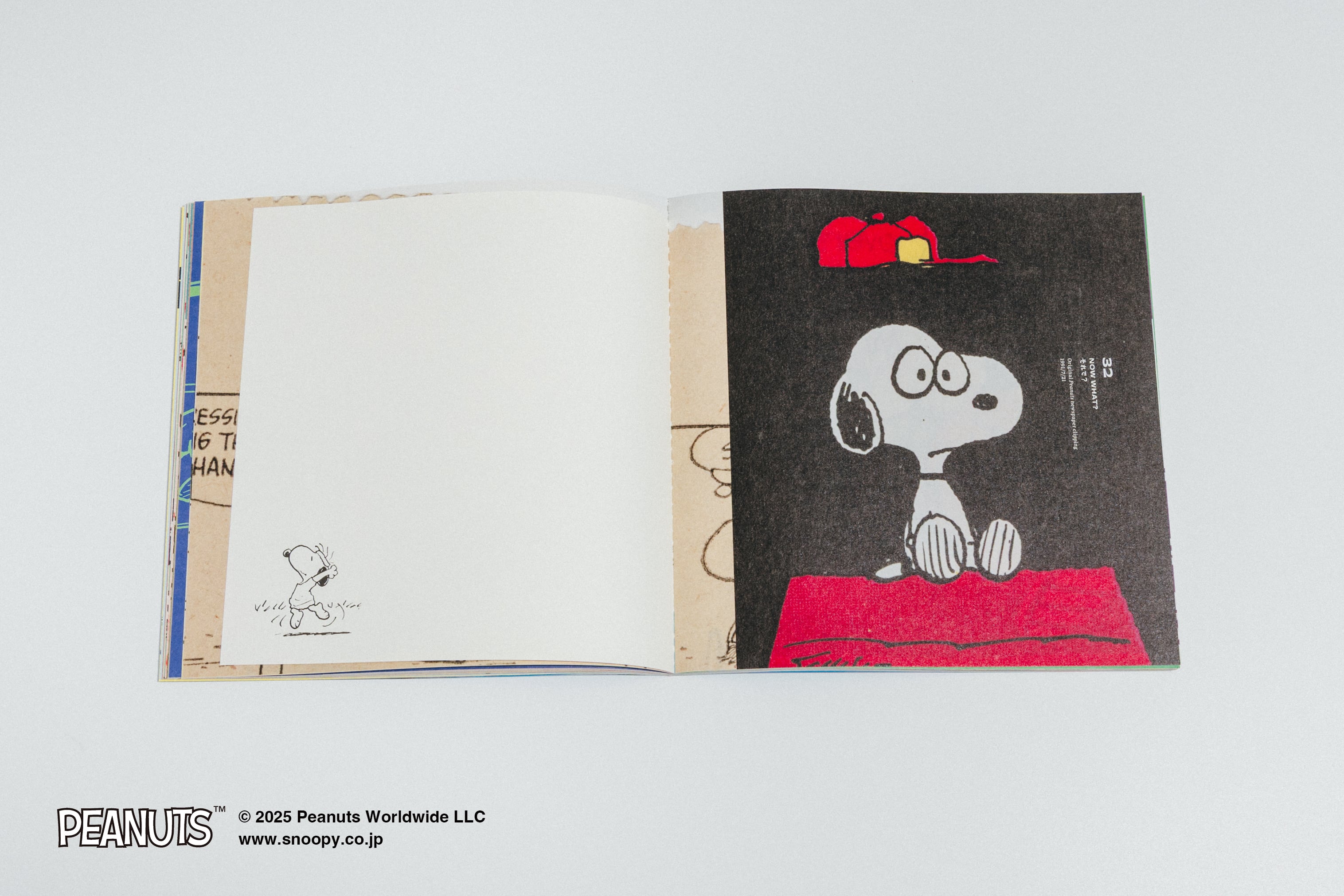 書籍『LIFE 75 SNAPS OF SNOOPY』 | Blue Sheep Shop