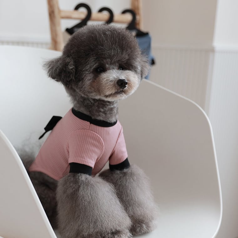 onz ribbon knit t-shirt S ~ XL 4color / 犬服 ニット 可愛い 犬の服 Tシャツ 背中 リボン 重ね着 おしゃれ トップス お揃い ドッグウェア 無地 シンプル 韓国ワンコ服 b54