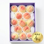 【特秀品】あら川の桃 白鳳 約4kg（12〜15玉）