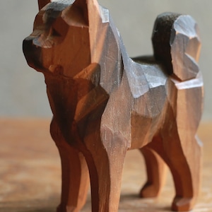 凛々しい立ち姿で、熱い視線を送る犬 1