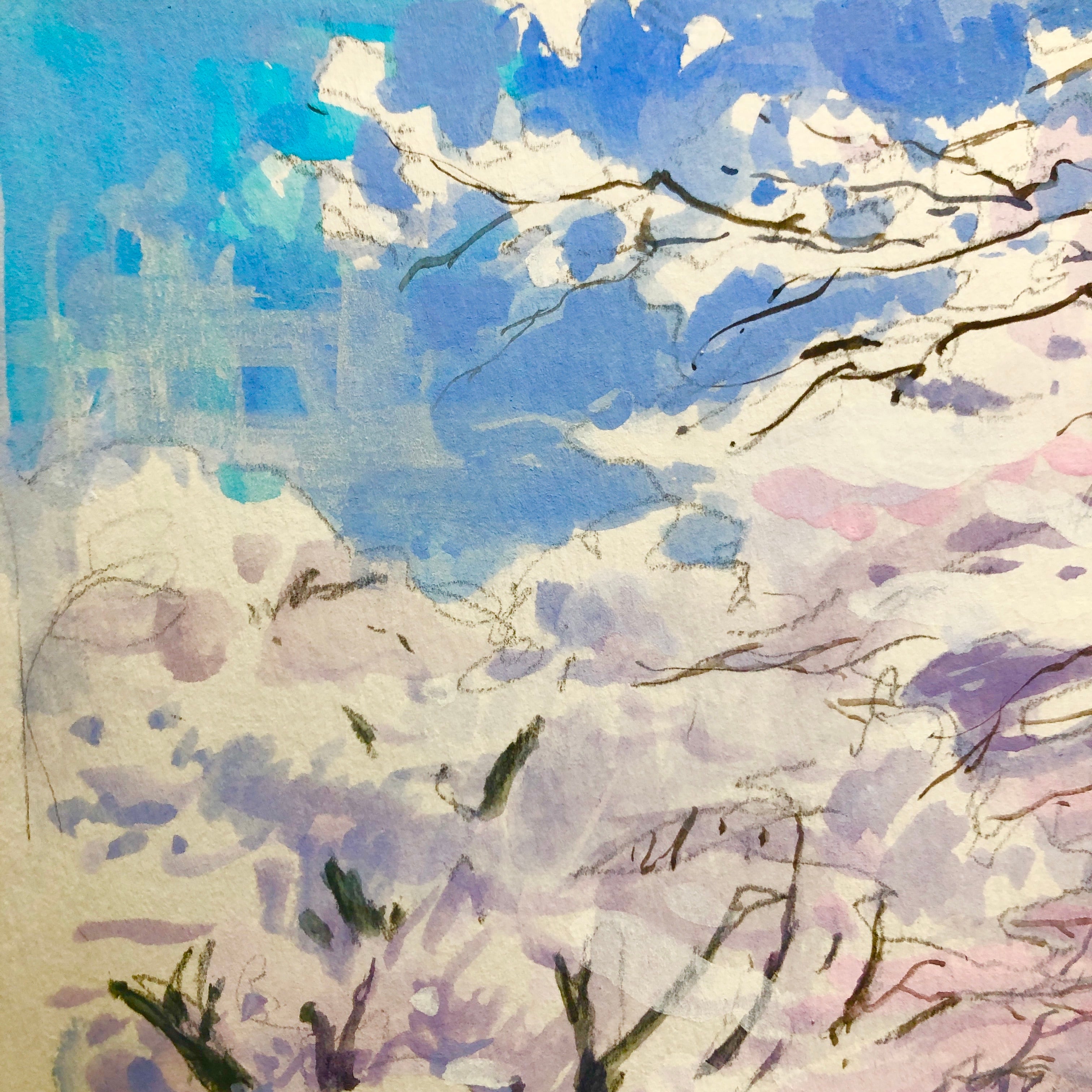 ☆後払い決済OK！ネット限定販売！2025年新作水彩画【新品額付き】桜