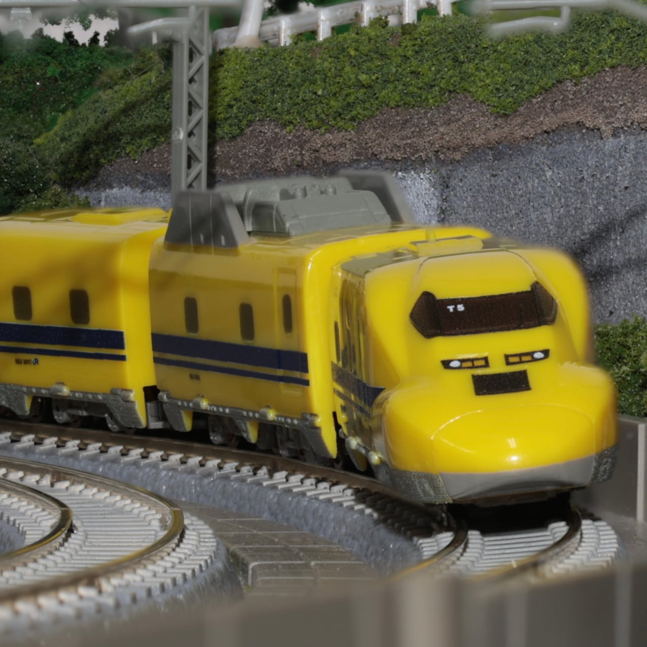Zショーティー(Z shorty) | ロクハン BASE.SHOP ｜【公式