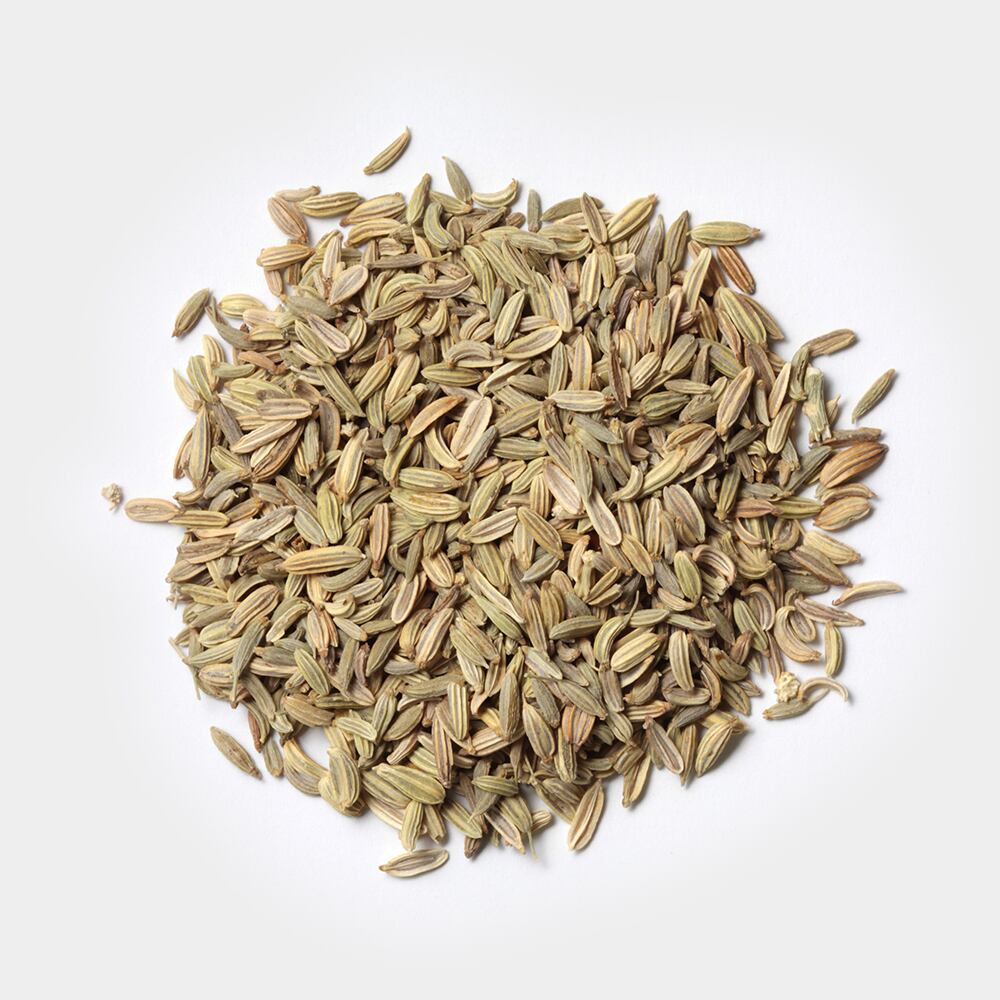 シングルハーブ フェンネル(ミニ20g)
