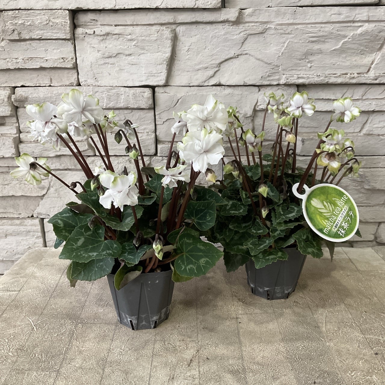 226bf4624020db5b092ed2d879d507