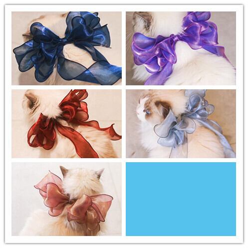 《予約》2101305 ベールチュールリボン