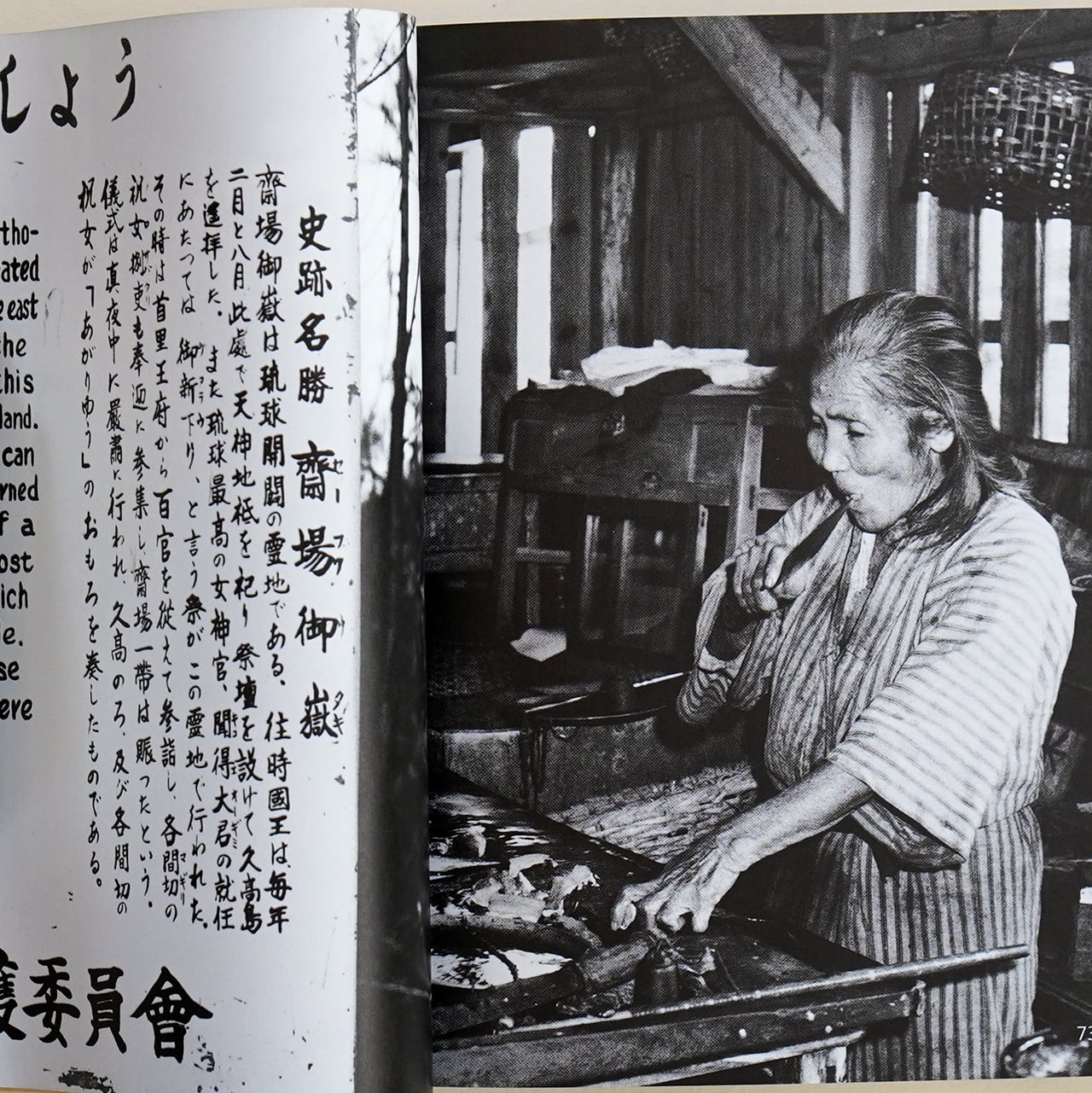 太郎写真曼荼羅 岡本太郎の宇宙 別巻 | タイムカプセル