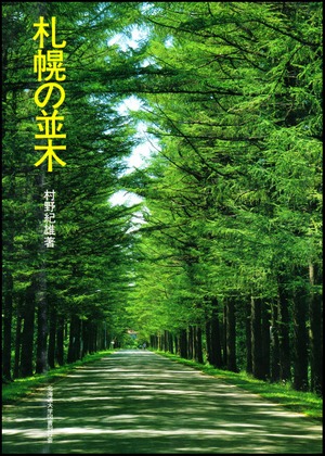 札幌の並木