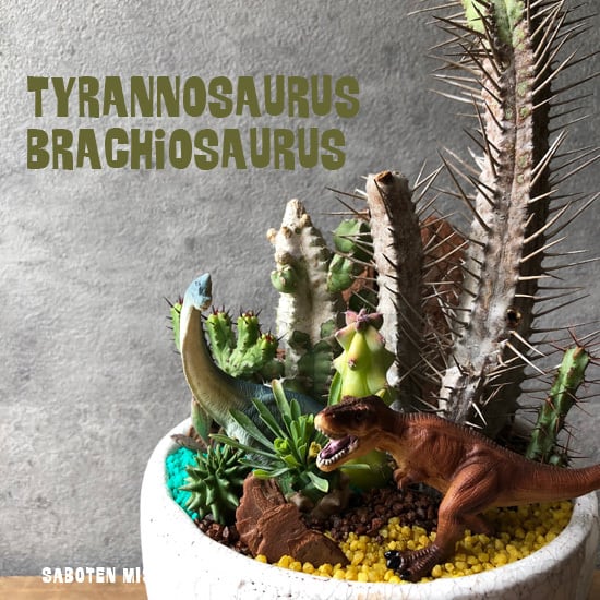 ティラノサウルス&ブラキオサウルス