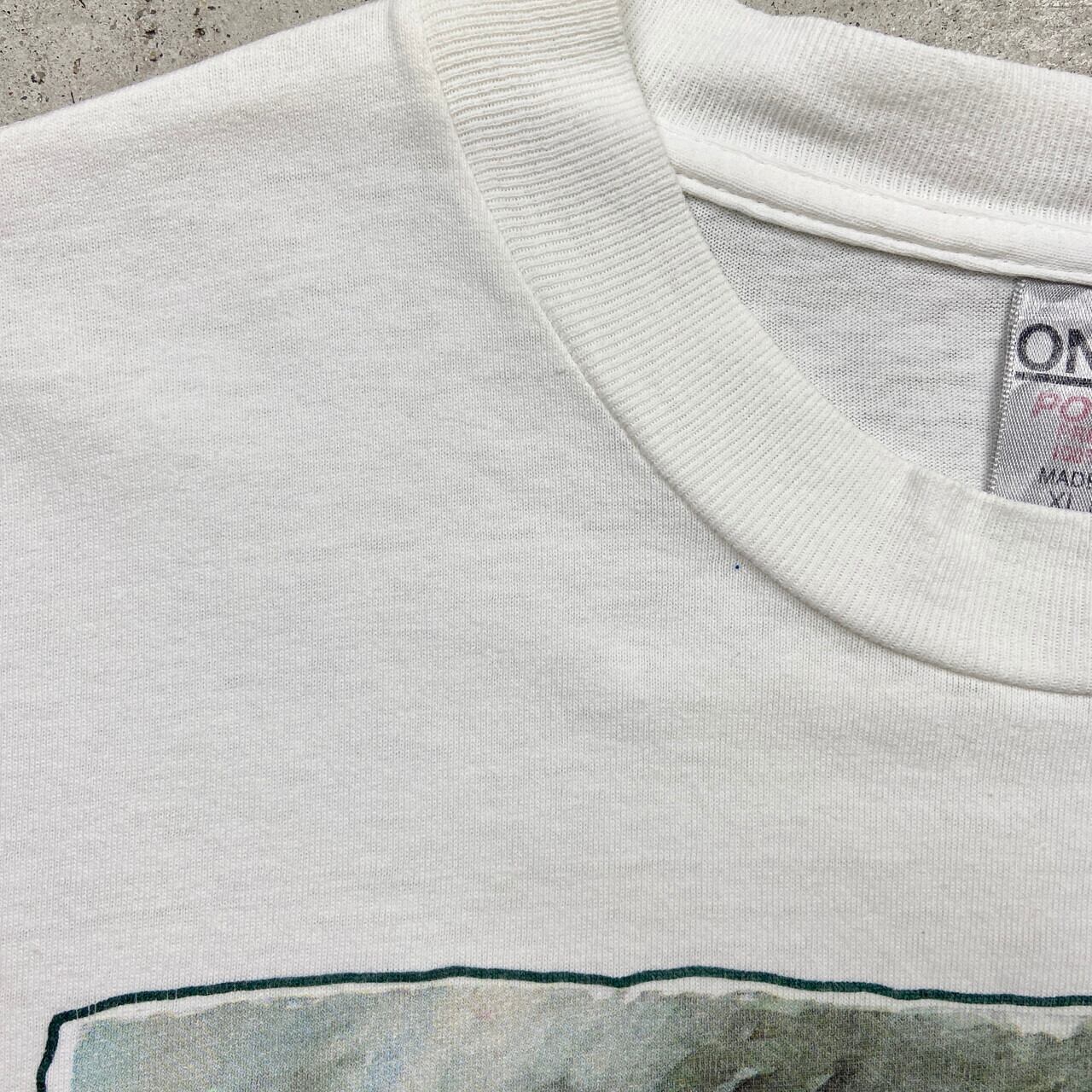 90年代 USA製 JUDY BUSWELL アートプリントTシャツ メンズXL フラワー 