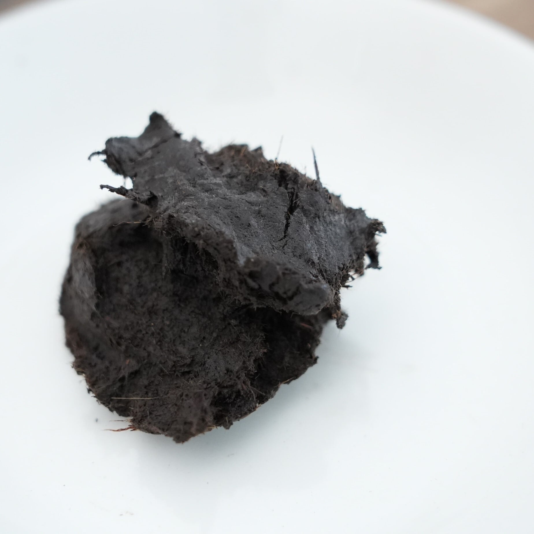 固まる君 400g ◇乾くと固まり水中でも使える | 苔テラリウム専門