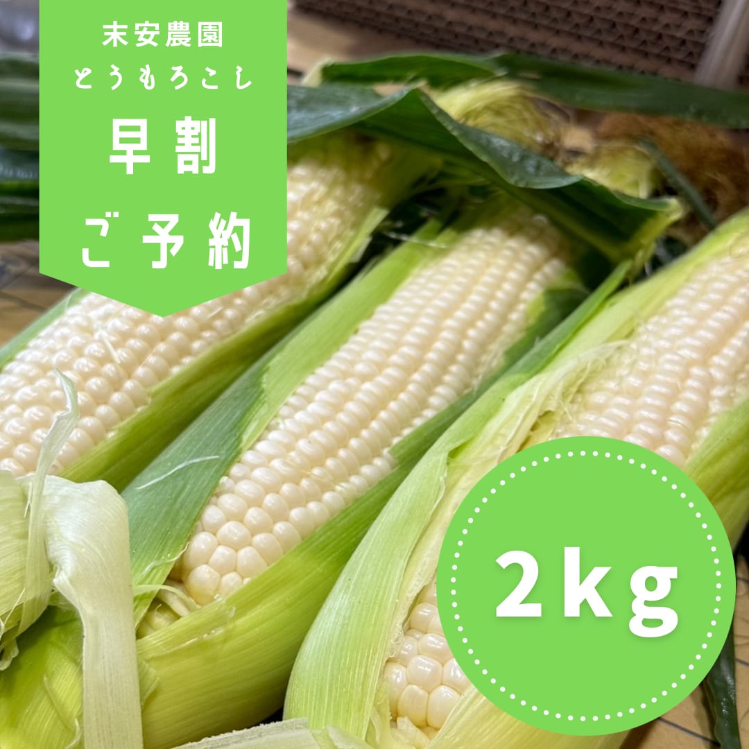 【予約】爆白コーン2kg(約5本〜約6本)