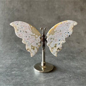 Ocean Jasper オーシャンジャスパー|Butterfly 蝶々|天然石 パワーストーン 鉱物 gem stone