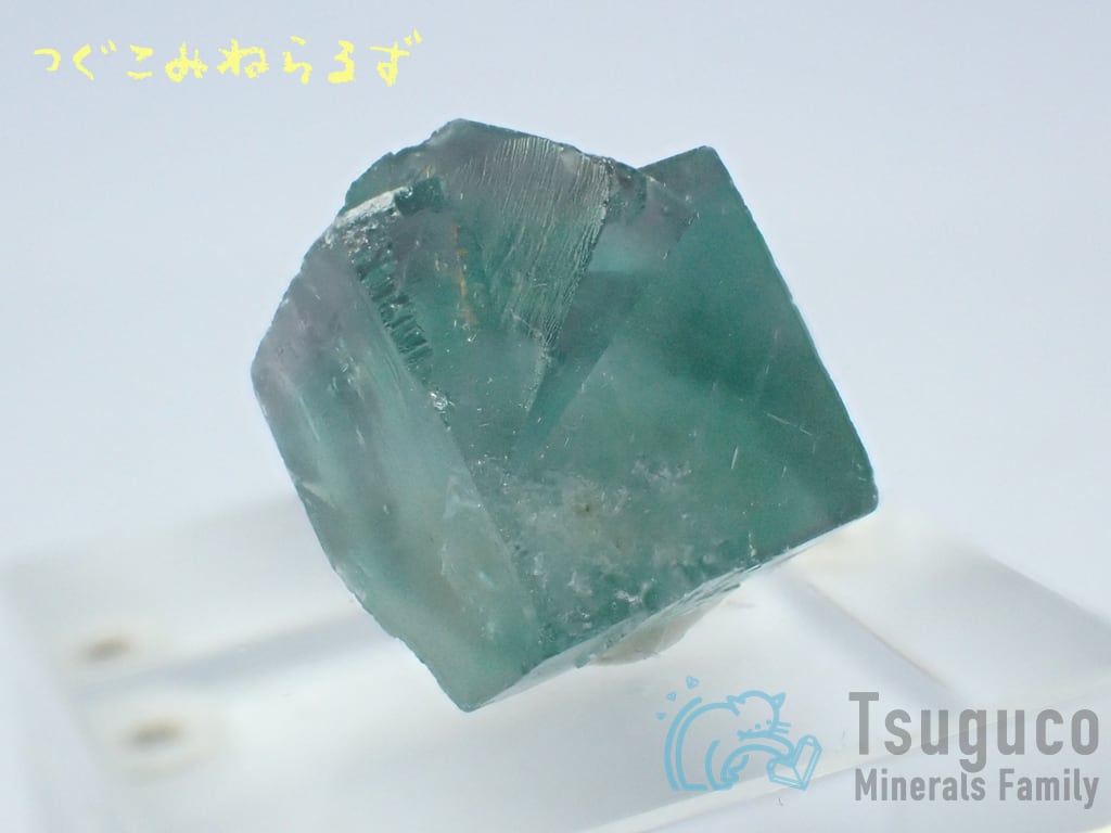 フローライト 蛍石 Fluorite イギリス TM-0030