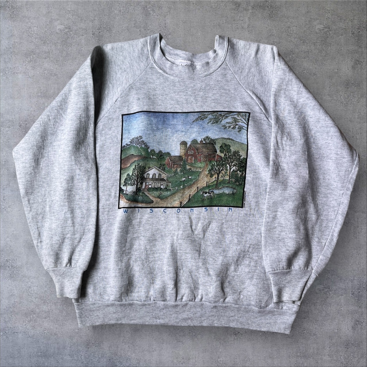 90s Wisconsin Countryside Sweatshirt