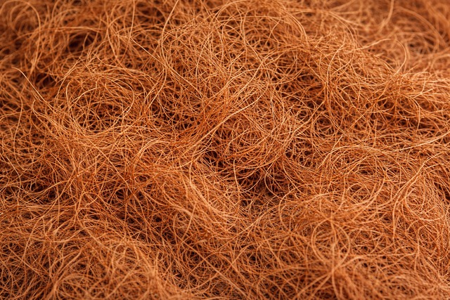 calm cafe Coco Coir Fiber ココヤシファイバー ブラウン｜100g