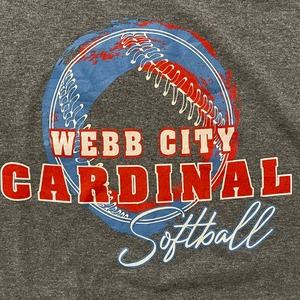 【GILDAN】ソフトボール webb city cardinal プリント Tシャツ XL ビッグサイズ US古着