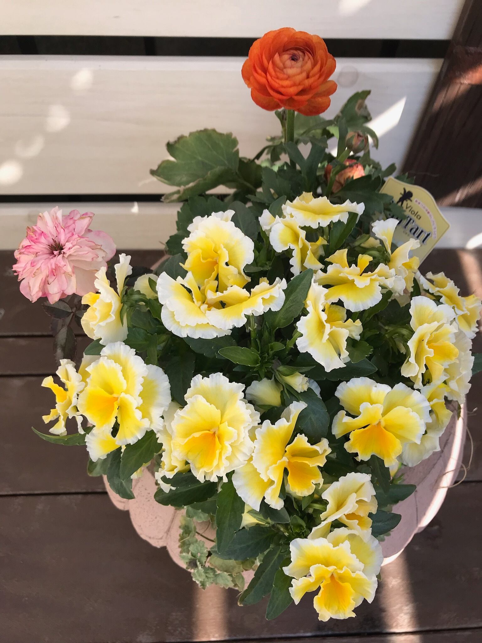 おみつさまリメイク鉢4号ふっくら丸鉢 黄色いお花の中でおねむなうさぎ