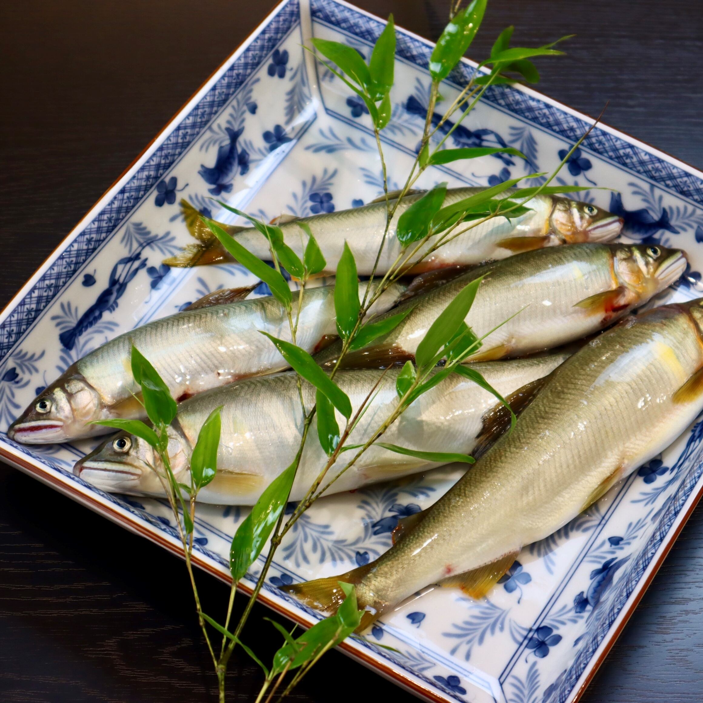 仁淀川　天然アユ　鮎　あゆ　大型１０匹　１Ｋ以上　格安スタート　 仁淀川支流・本流 天然アユ あゆ 鮎 大型・良型１４匹 １Ｋ以上 格安