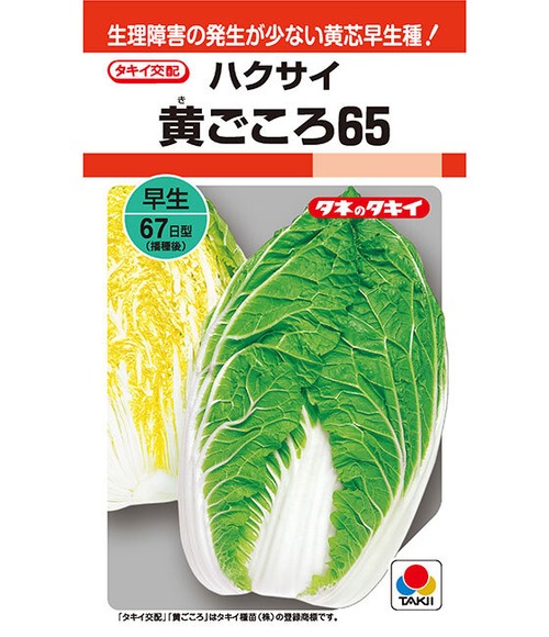ハクサイ 「黄ごころ65」（P100粒） 画像