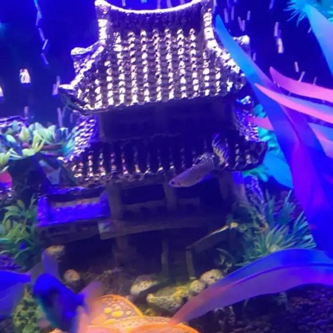 江南 水中ハウス 水槽内装飾 金魚のお家 水槽 家 キッチン リビング