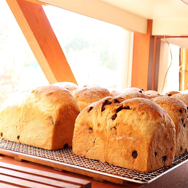 ぎっしりレーズンヨーグルト酵母食パン（一斤）※ 写真は二斤イメージ