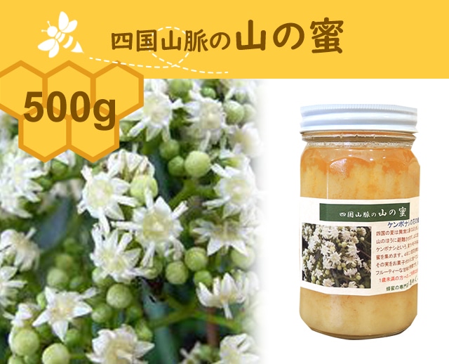 500g 四国山脈の山の蜜