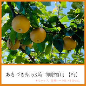 あきづき梨 5K箱 御贈答用【梅】（中玉１３〜１５個入り）