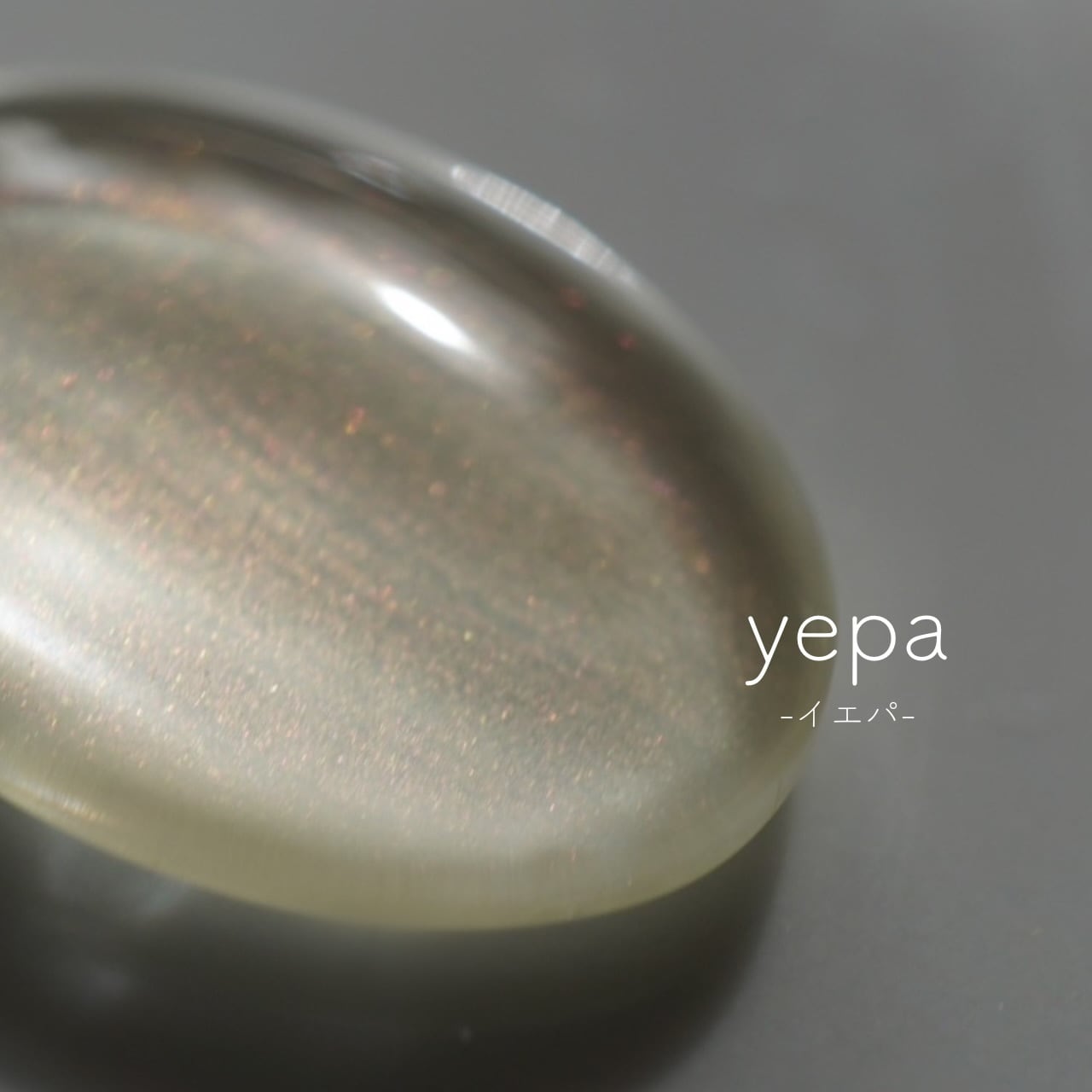 ✨✨✨superガジュマル【イボ荒肌幹系】 ✨✨✨superガジュマル【イボ荒肌幹系】 - メルカリ