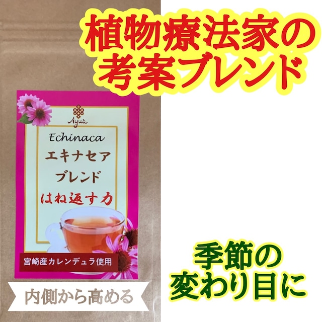 【はね返す力】植物療法家が薦める　エキナセアブレンド