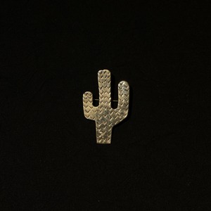 Native american cactus  brooch S